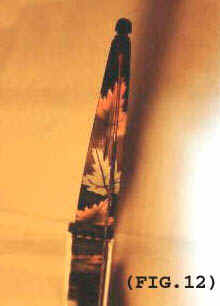 FIG.12.jpg (7119 bytes)