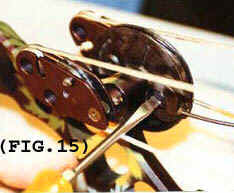 FIG.15.jpg (21585 bytes)