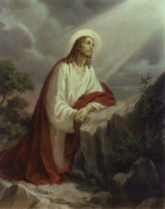 garden.jpg (12027 bytes)