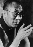 lama.gif (13175 bytes)