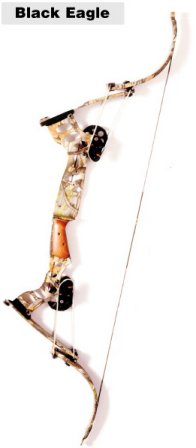 newbe2.jpg (12010 bytes)