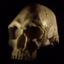 skull.gif (28264 bytes)