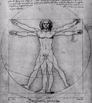 vitruvian.jpg (13237 bytes)