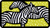 zebrastring.gif (1898 bytes)